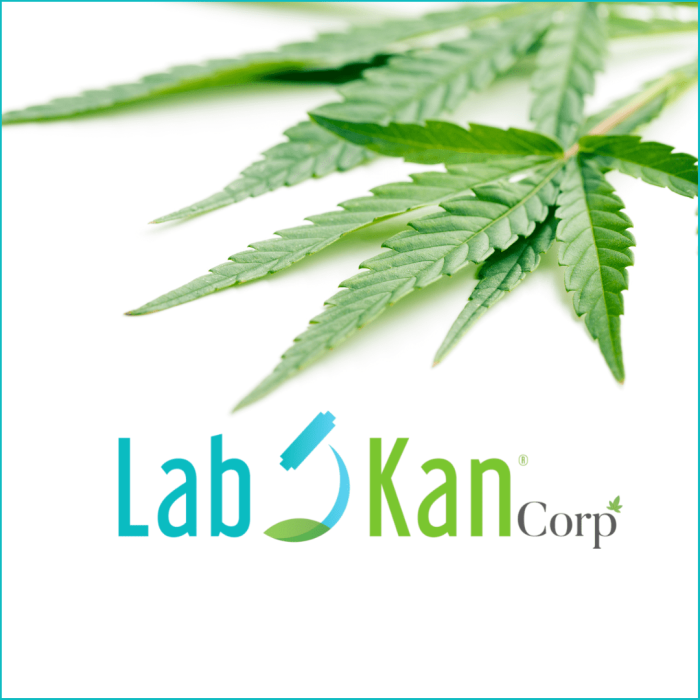 Labkan Corp
